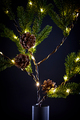 Lysgren med grankongler 32 LED H70 cm